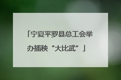 宁夏平罗县总工会举办插秧“大比武”