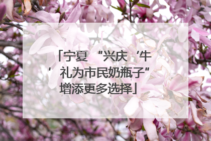 宁夏 “兴庆‘牛’礼为市民奶瓶子”增添更多选择