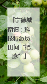 宁德城南镇：科技特派员田间“把脉”