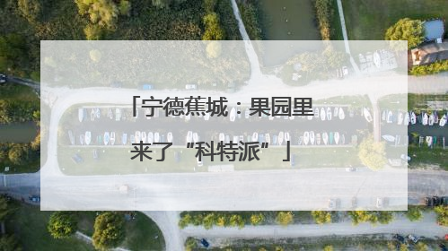 宁德蕉城：果园里来了“科特派”
