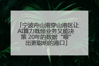 宁波舟山港穿山港区让AI算力既懂业务又能决策 20年的数据“喂”出更聪明的港口