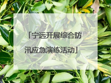 宁远开展综合防汛应急演练活动