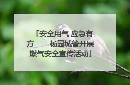 安全用气 应急有方——杨园城管开展燃气安全宣传活动
