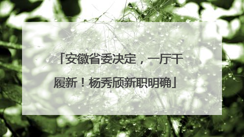 安徽省委决定，一厅干履新！杨秀颀新职明确
