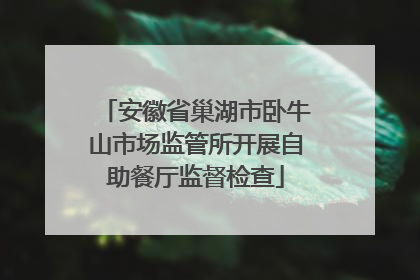 安徽省巢湖市卧牛山市场监管所开展自助餐厅监督检查