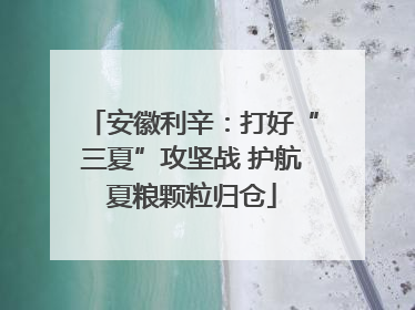 安徽利辛：打好“三夏”攻坚战 护航夏粮颗粒归仓