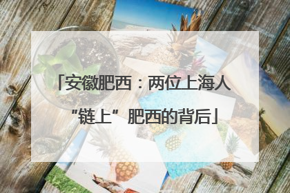 安徽肥西：两位上海人“链上”肥西的背后