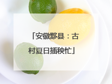 安徽黟县：古村夏日插秧忙