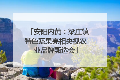 安阳内黄：梁庄镇特色蔬果亮相央视农业品牌甄选会