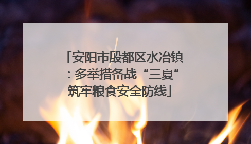 安阳市殷都区水冶镇：多举措备战“三夏” 筑牢粮食安全防线
