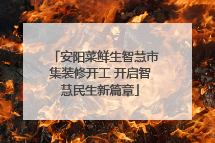 安阳菜鲜生智慧市集装修开工 开启智慧民生新篇章