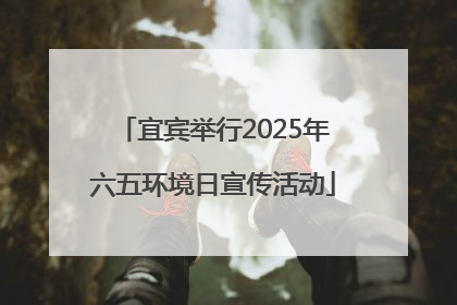 宜宾举行2025年六五环境日宣传活动