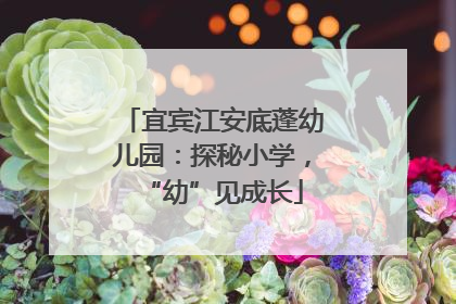 宜宾江安底蓬幼儿园：探秘小学，“幼”见成长