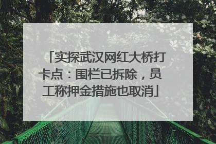 实探武汉网红大桥打卡点：围栏已拆除，员工称押金措施也取消