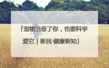 宠物治愈了你，也要科学爱它｜新民·健康新知
