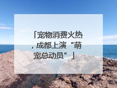 宠物消费火热，成都上演“萌宠总动员”
