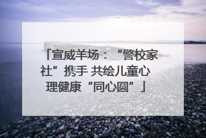 宣威羊场：“警校家社”携手 共绘儿童心理健康“同心圆”