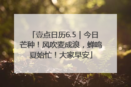 壹点日历6.5｜今日芒种！风吹麦成浪，蝉鸣夏始忙！大家早安
