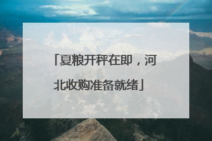 夏粮开秤在即，河北收购准备就绪