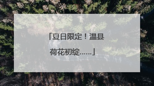 夏日限定！温县荷花初绽……