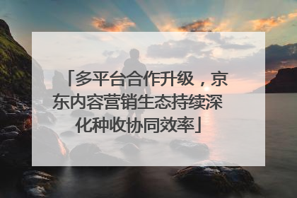 多平台合作升级，京东内容营销生态持续深化种收协同效率