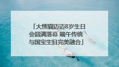 大熊猫迈迈8岁生日会圆满落幕 端午传统与国宝生日完美融合