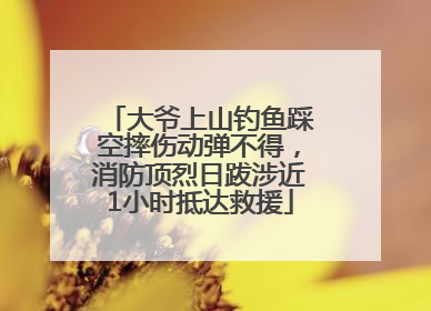 大爷上山钓鱼踩空摔伤动弹不得，消防顶烈日跋涉近1小时抵达救援
