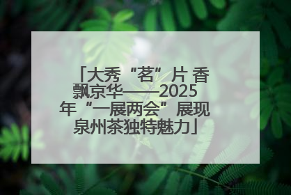 大秀“茗”片 香飘京华——2025年“一展两会”展现泉州茶独特魅力