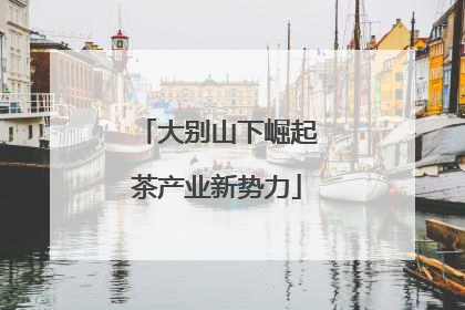 大别山下崛起茶产业新势力