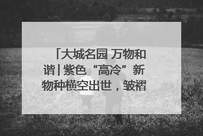 大城名园 万物和谐│紫色“高冷”新物种横空出世，皱褶叶片暗藏进化密码