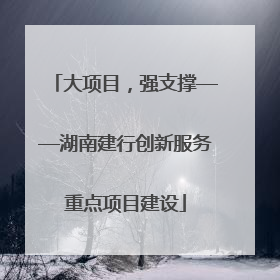 大项目，强支撑——湖南建行创新服务重点项目建设