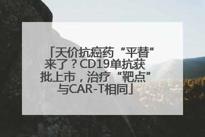 天价抗癌药“平替”来了？CD19单抗获批上市，治疗“靶点”与CAR-T相同