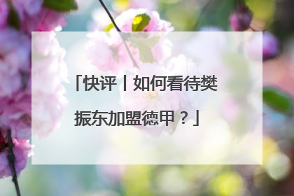 快评丨如何看待樊振东加盟德甲？