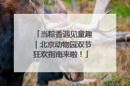 当粽香遇见童趣｜北京动物园双节狂欢指南来啦！