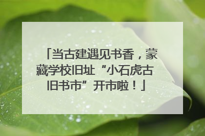 当古建遇见书香，蒙藏学校旧址“小石虎古旧书市”开市啦！