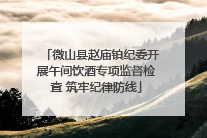 微山县赵庙镇纪委开展午间饮酒专项监督检查 筑牢纪律防线