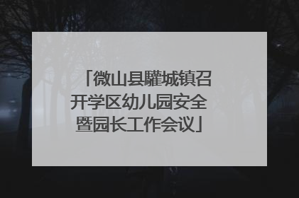 微山县驩城镇召开学区幼儿园安全暨园长工作会议