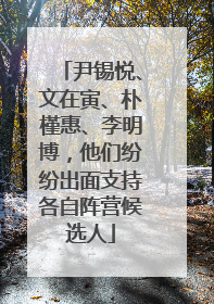 尹锡悦、文在寅、朴槿惠、李明博，他们纷纷出面支持各自阵营候选人