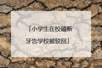 小学生在校磕断牙告学校被驳回