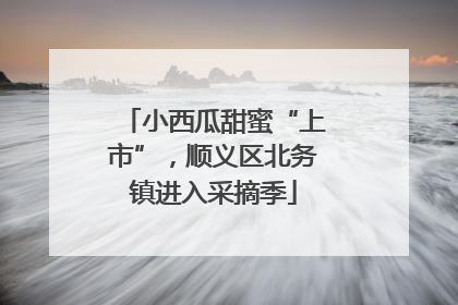 小西瓜甜蜜“上市”，顺义区北务镇进入采摘季