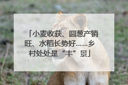 小麦收获、圆葱产销旺、水稻长势好……乡村处处是“丰”景