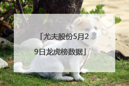 尤夫股份5月29日龙虎榜数据