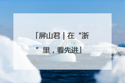 屏山君｜在“浙”里，看先进