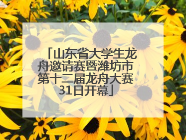山东省大学生龙舟邀请赛暨潍坊市第十二届龙舟大赛31日开幕