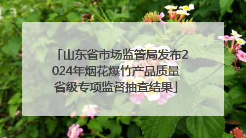 山东省市场监管局发布2024年烟花爆竹产品质量省级专项监督抽查结果