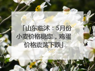 山东临沭：5月份小麦价格稳定，鸡蛋价格震荡下跌