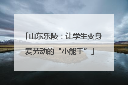山东乐陵：让学生变身爱劳动的“小能手”