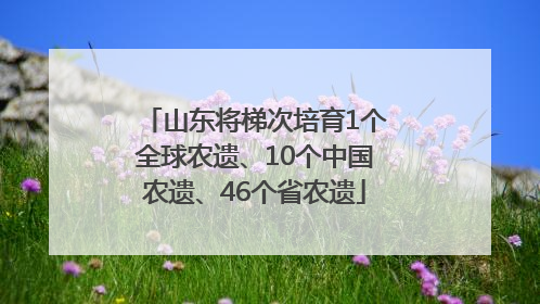 山东将梯次培育1个全球农遗、10个中国农遗、46个省农遗