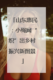 山东惠民：小绳网“织”出乡村振兴新图景