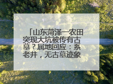 山东菏泽一农田突现大坑被传有古墓？属地回应：系老井，无古墓迹象，已回填